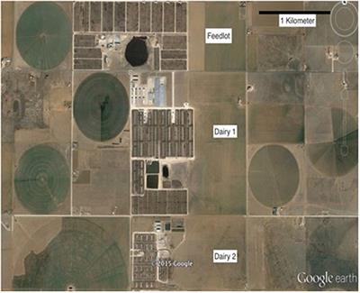Salmonella Prevalence Varies Over Time and Space in Three Large, Adjacent Cattle Operations in the Southwestern United States